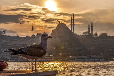 istanbul view
